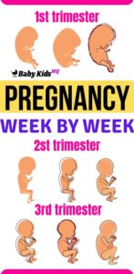 Image showcasing Image result for Pregnancy fitness routine for flexibility